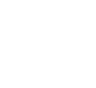 SWISOX logo